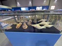 -上海海洋大学鱼文化博物馆(军工路校区)