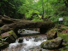 -五女峰国家森林公园