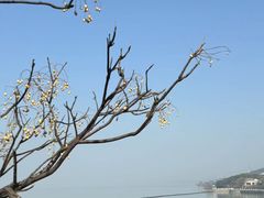 -古尚锦酒楼·水上餐厅