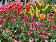 -广州市白云山风景名胜区