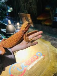 -酷嗒动物文化乐园(cutezoo西溪乐天城店)