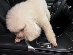 -天津波士信达奔驰4S店(卫津南路店)