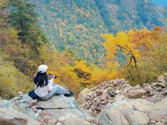-九峰山