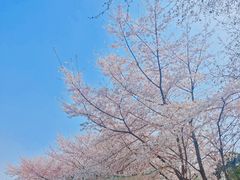 -堤角公园