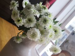 -雕刻时光咖啡馆(北师大店)