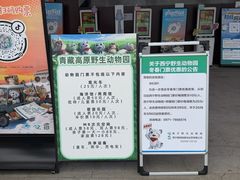-青藏高原野生动物园