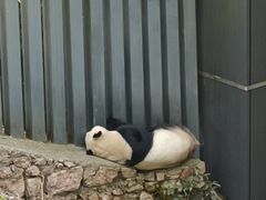 -黔灵山公园