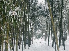 -湖州龙王山景区