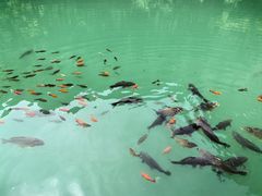 -山西通天峡景区