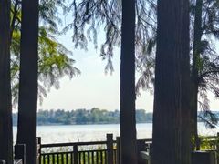 -东湖落雁景区