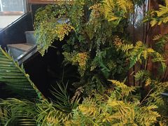 -江小渔鲜鱼火锅(西二道街店)
