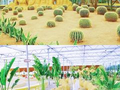-南宫五洲植物乐园