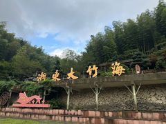 -宁波浙东大竹海景区