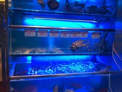 -協成海鮮火鍋(老店)