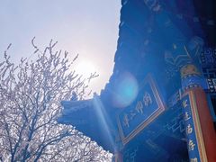 -桃花堤公园