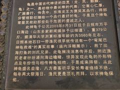 -刘家湾赶海园