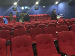 -大地影院(上海南汇店)