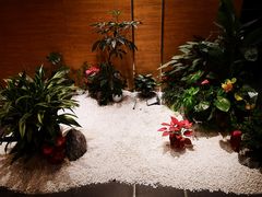 -璞·澐间影院式足道SPA(尚悦湾店)