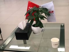 -深圳锦龙奥迪4S店(前海店)
