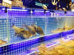 -必点海鲜·鲅鱼水饺(鞍山西道店)