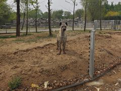 -秦皇岛野生动物园