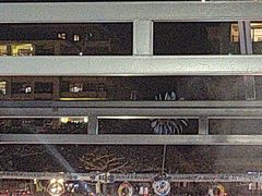-渔家火锅·海鲜自助餐·演艺(亚龙湾天域酒店)