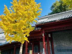 -楚望台遗址公园