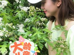 -长春公园(普阳街道)