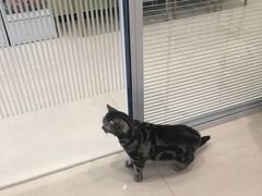 -悦宠凯宝动物医院·牙科·皮肤科(朝阳北路店)