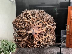 -长沙简牍博物馆