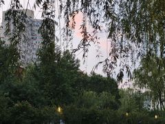 -La Medina餐厅(亮马河南路店)