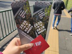 -东浩兰生上海世博展览馆