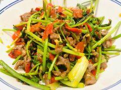 -壹盏灯(惠农店)