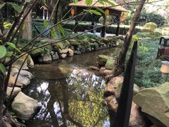 -天赐温泉
