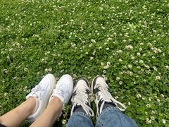 -上海共青森林公园