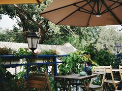 -Sirena海妖日咖夜酒