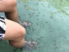 -苏州湾王焰温泉度假酒店