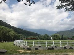 -瑞穗牧场