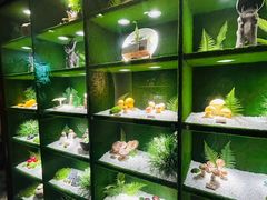-慢丽江·云南野生菌土鸡锅(西山店)