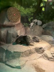 -酷嗒动物文化乐园(cutezoo西溪乐天城店)