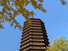 -玲珑塔公园