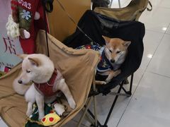 -凯德广场(西城店)