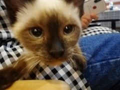 -万小咖.猫咖(中山路天虹店)