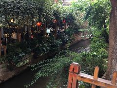-菌之家·专业纯野生菌火锅·特色炒菌