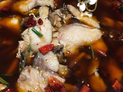 -付掌柜在成都·热炒砂锅集(金禾店)