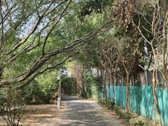 -华侨城湿地公园