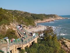 -广东惠东海龟国家级自然保护区