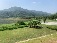 -风云岭森林公园