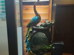 -竹雀古法采耳(青岛麦凯乐店)