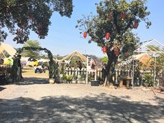 -长洲岛都市农业公园